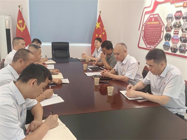 公司領(lǐng)導(dǎo)調(diào)研指導(dǎo)鼎信公司、藍(lán)盾...